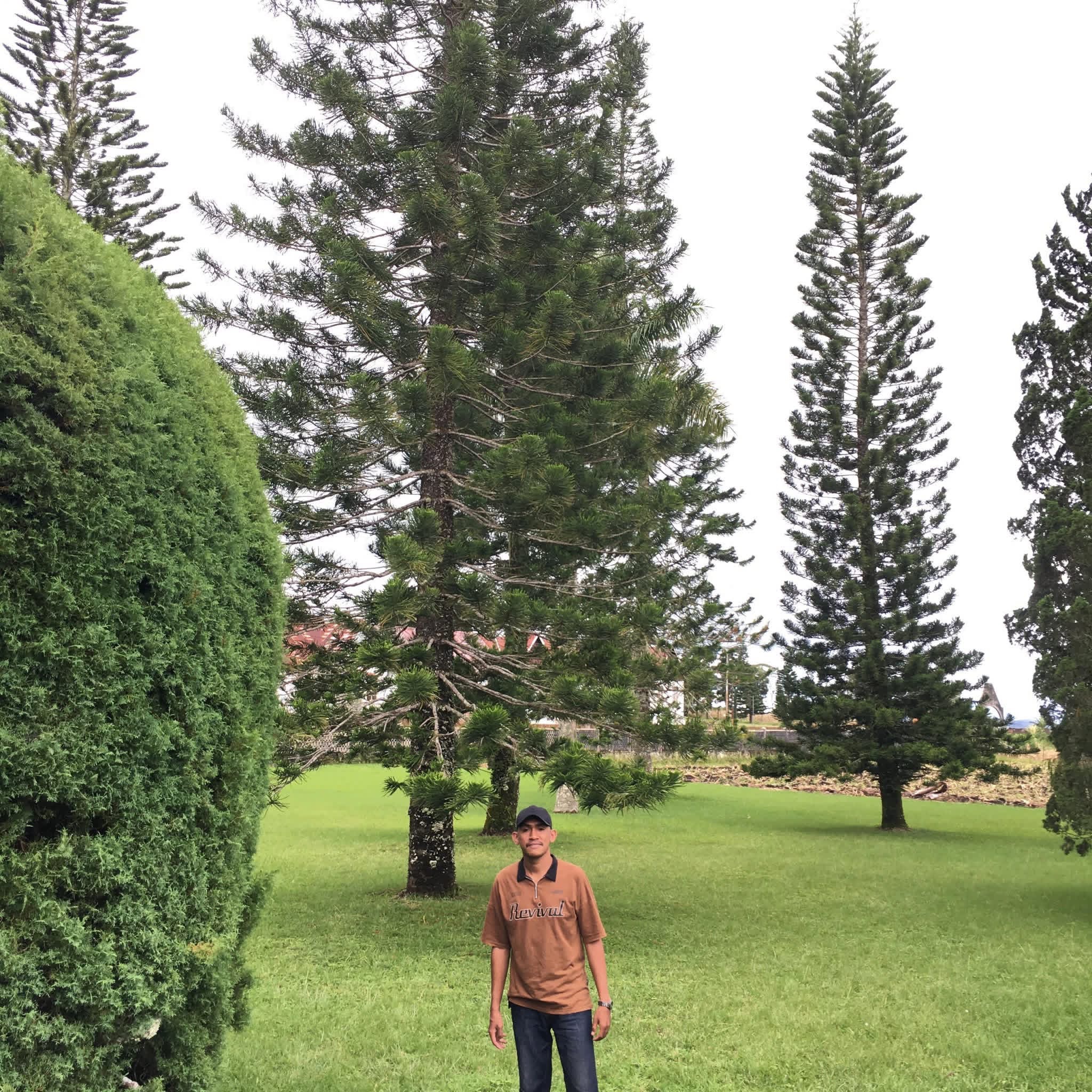 Foto Profil Emanuel Stefanus Lawe